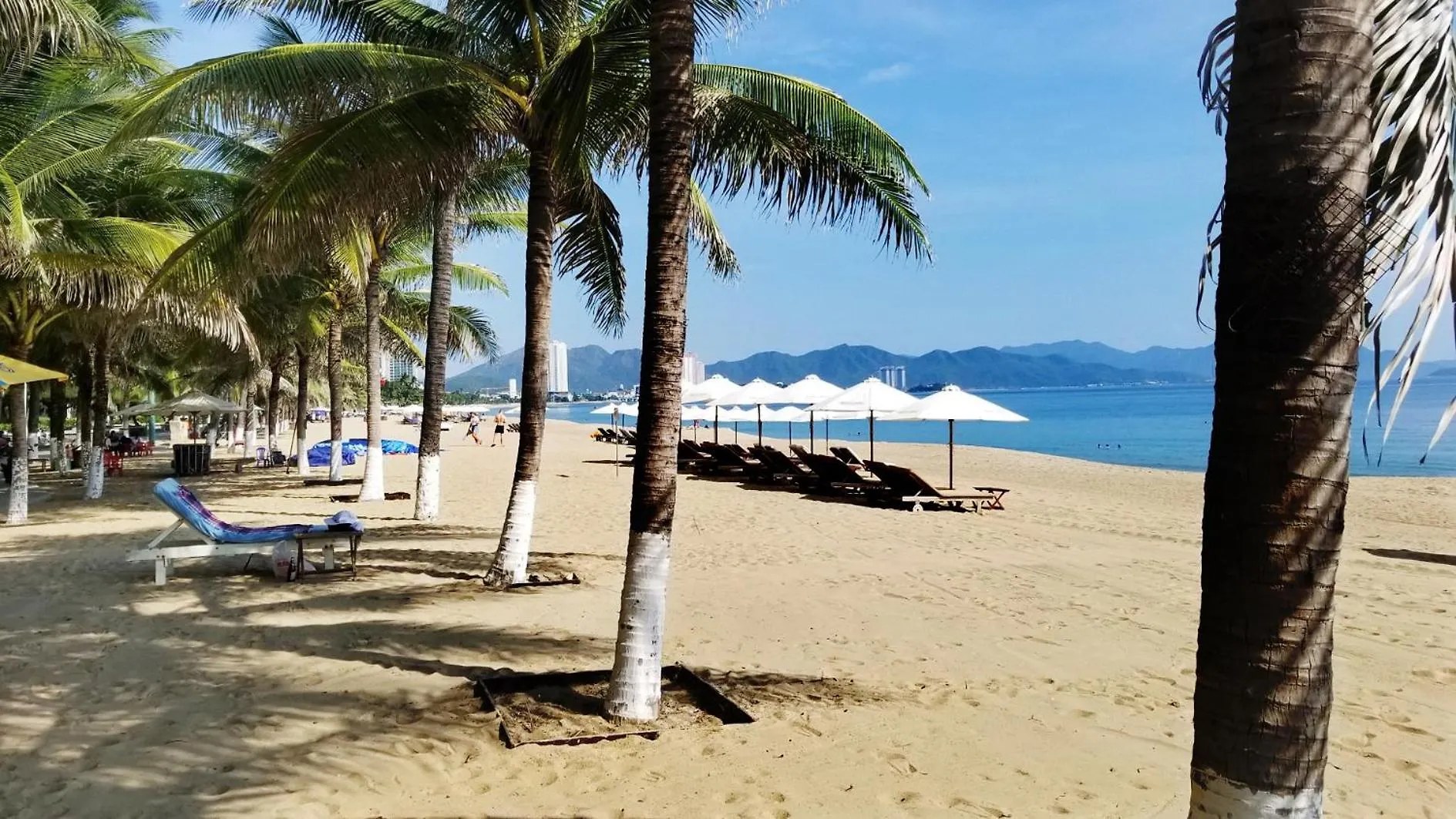 Ch Muong Thanh Luxury View Bien 60 Tran Phu 芽庄