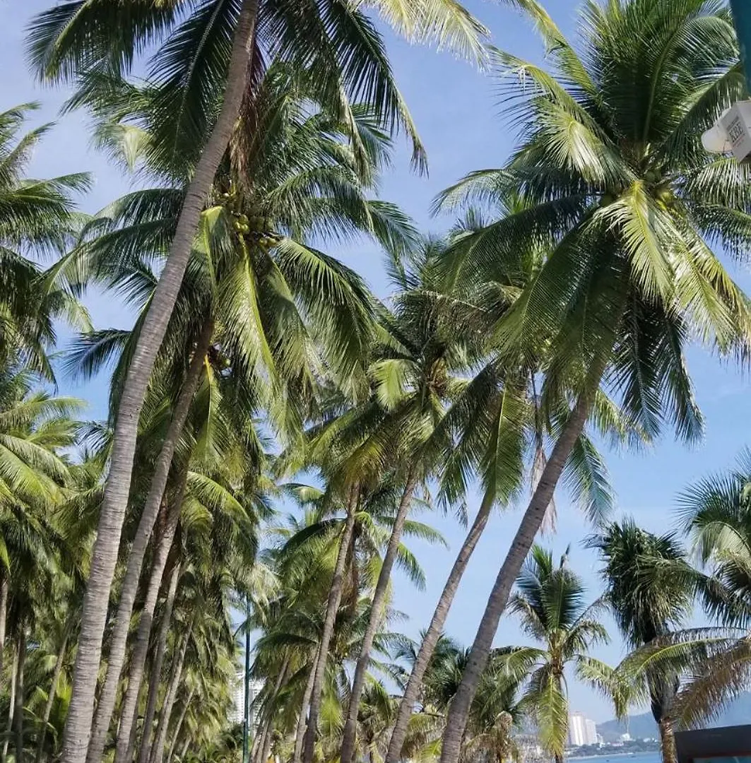 Ch Muong Thanh Luxury View Bien 60 Tran Phu 나트랑 0*,
